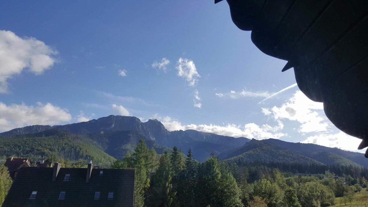 Willa Za Strugiem Zakopane Dış mekan fotoğraf