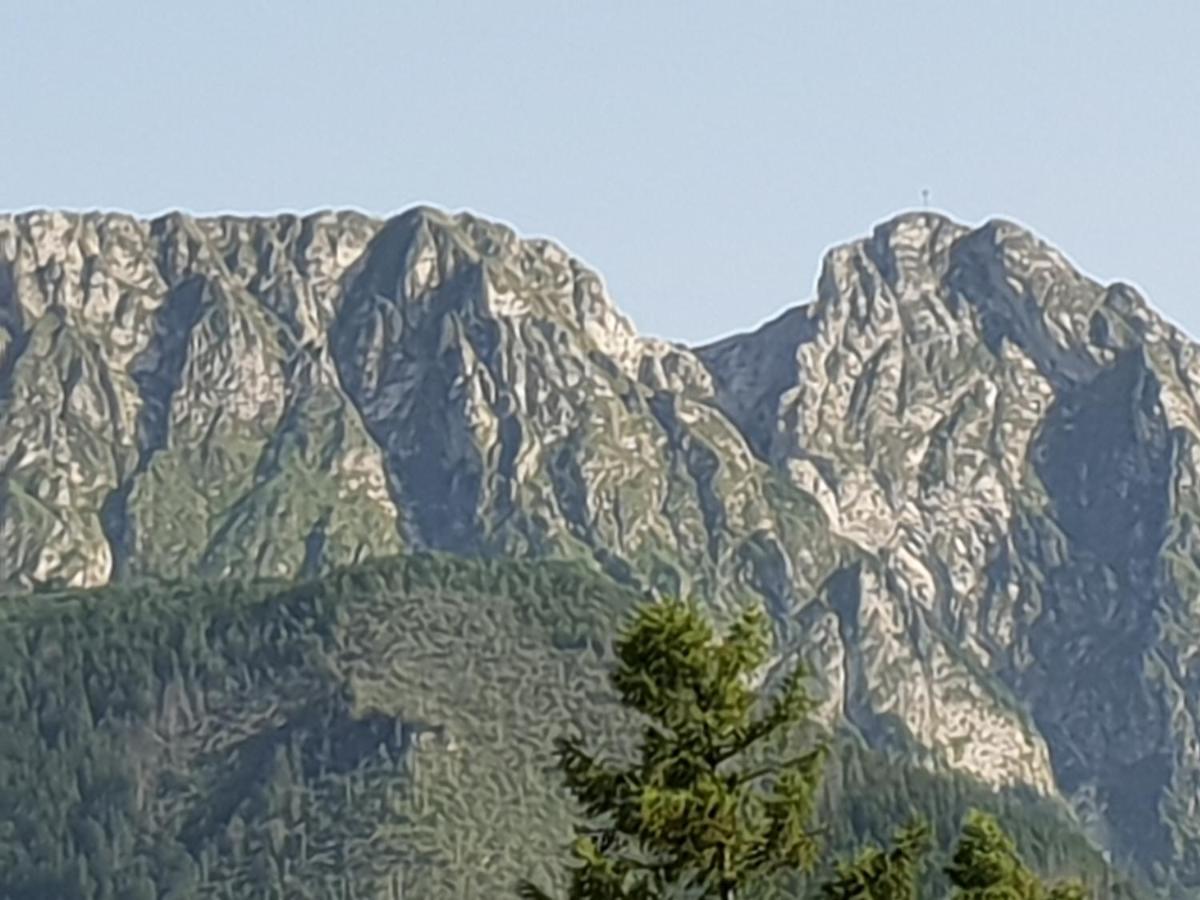 Willa Za Strugiem Zakopane Dış mekan fotoğraf