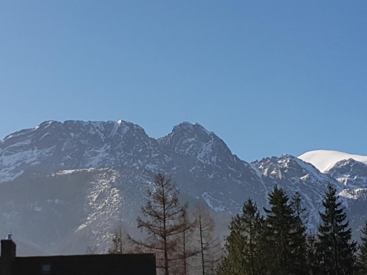 Willa Za Strugiem Zakopane Dış mekan fotoğraf